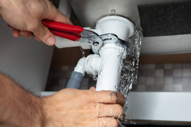 Best Water damage restoration near me  in Springfield, NE