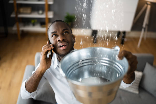 Best Water damage cleanup near me  in Springfield, NE