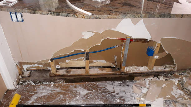 Best Flooded house restoration  in Springfield, NE