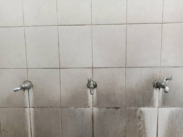 Best Professional water damage repair  in Springfield, NE