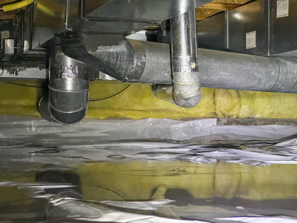 Best Water damage restoration near me  in Springfield, NE