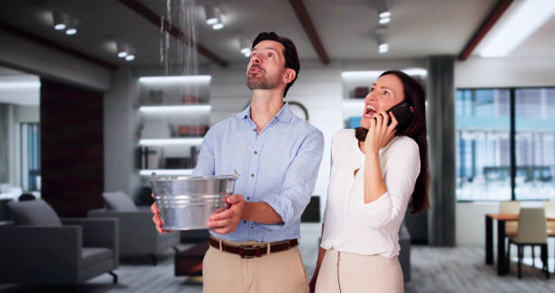 Best Commercial water damage restoration  in Springfield, NE